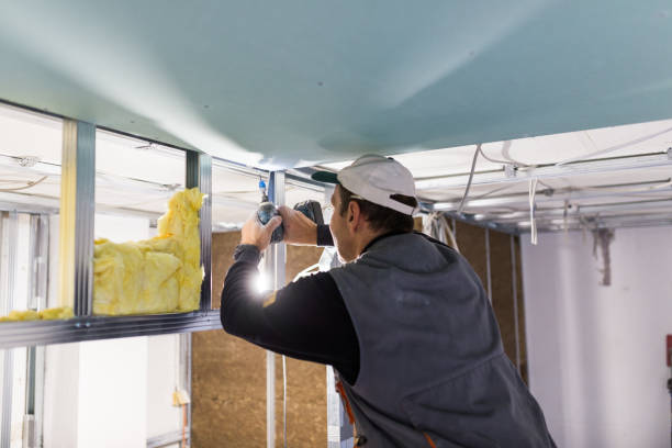 Best Cellulose Insulation in Greensboro, AL