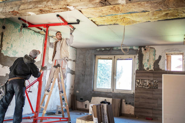 Best DIY Insulation Kits and Guidance in Greensboro, AL